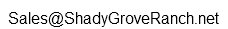 Our anti-spam email address