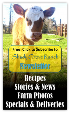 Click to subscribe to our semi-monthly newsletter