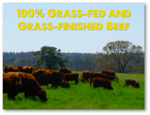 100% Grass-fed beef raised with no hormones or chemical wormers