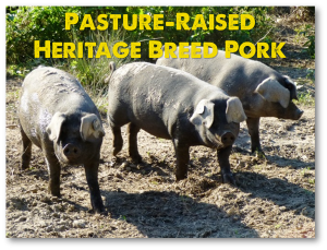 Old-Fashioned Pasture-Raised Pork with no MSG, no soy, no hormones, and no confinement.
