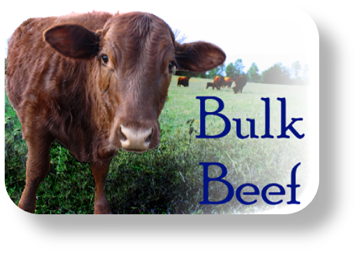 Bulk Beef Purchasing Information