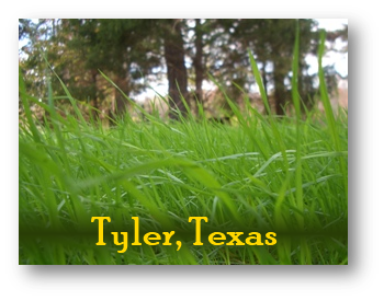 Tyler Texas