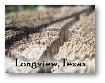 Longview Texas Purchasing Information