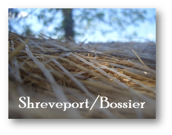 Shreveport Bossier Purchasing Information